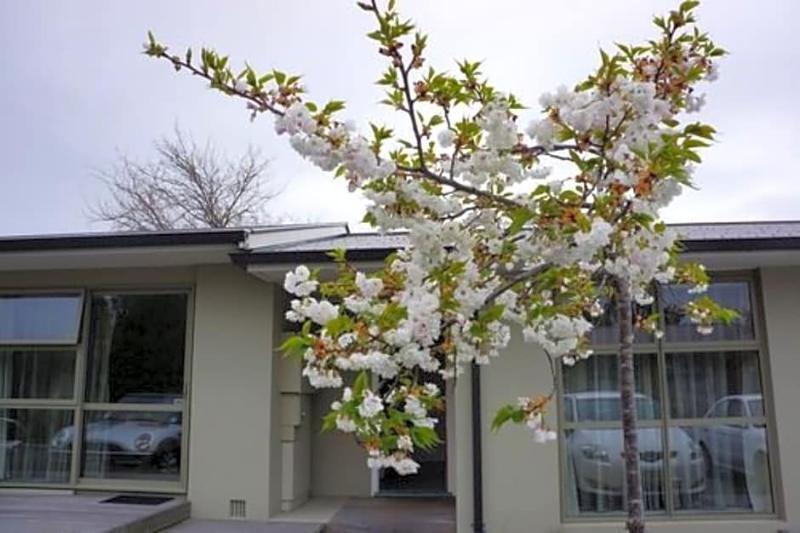 Tower Junction Motor Lodge- Motel With Airport And Railway Station Shuttle Service Christchurch Exterior foto